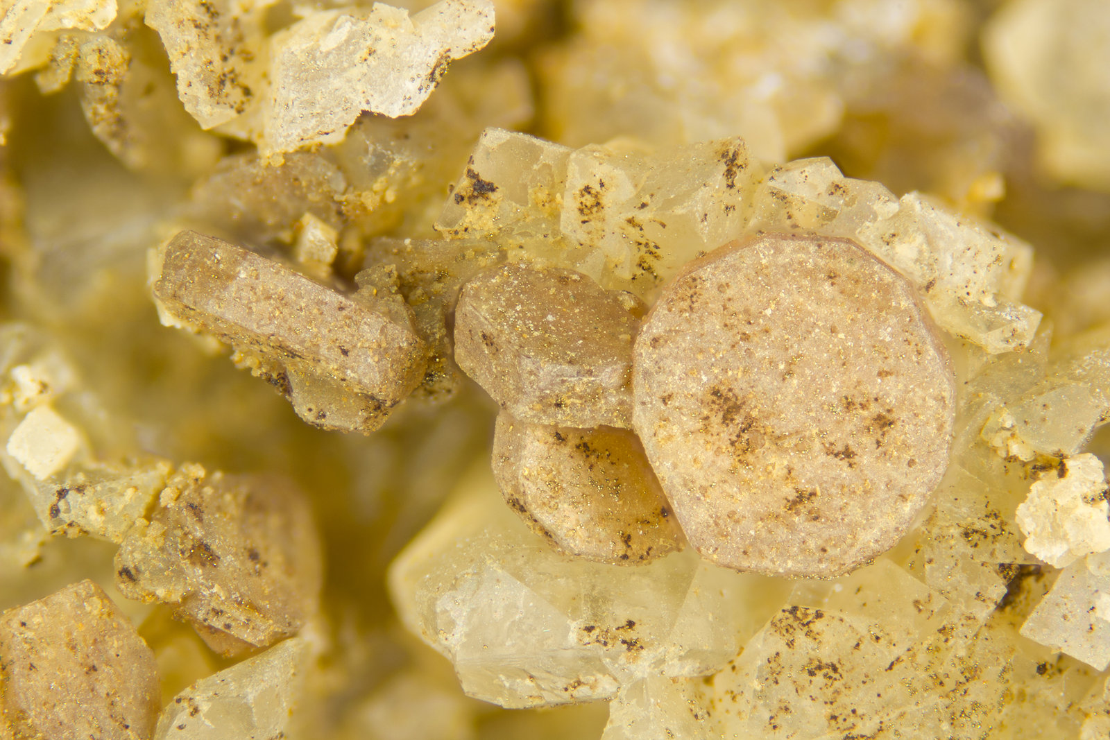 Sychysite-(Ce)
FOV = 4mm
(Autor: Doug)