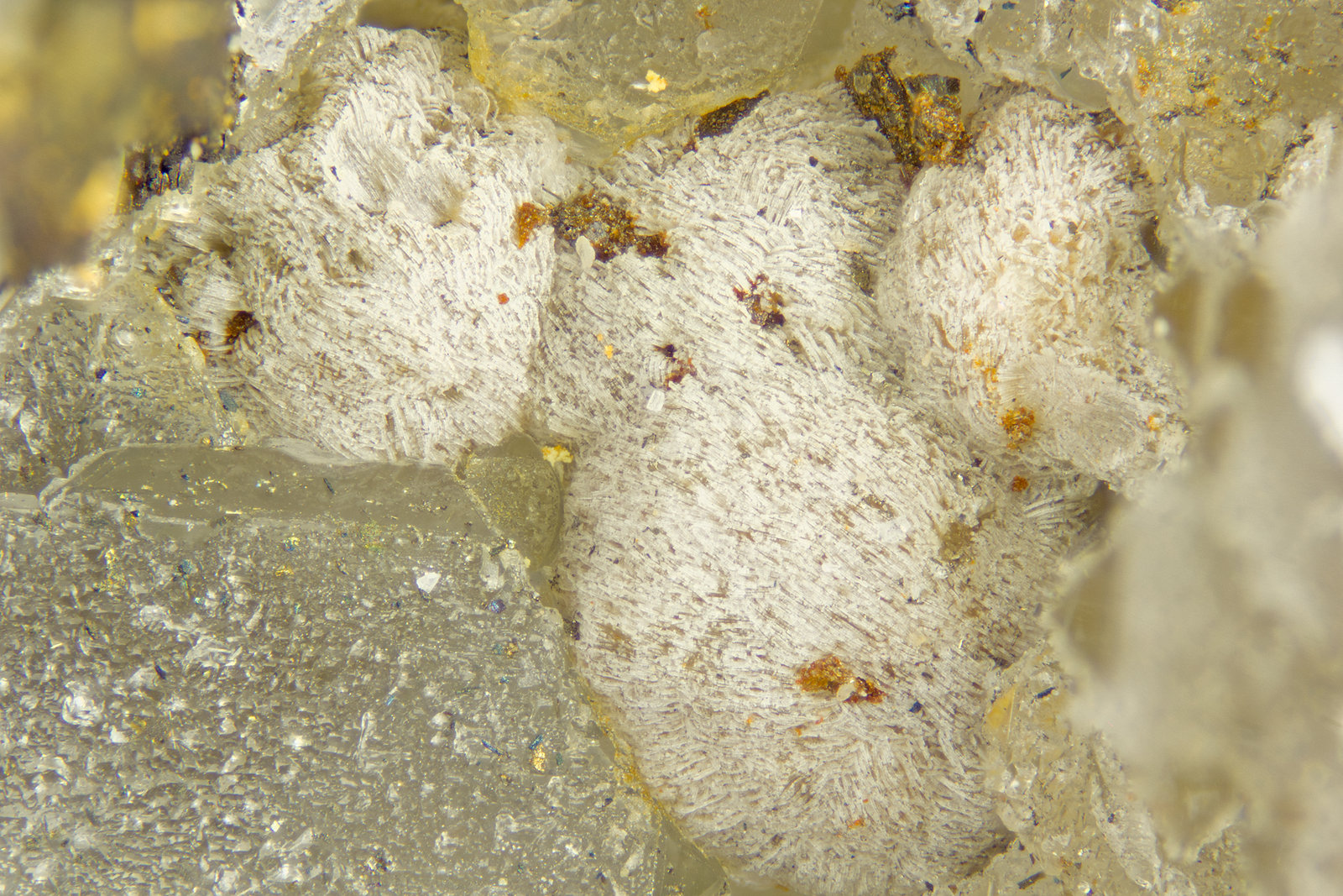 Tadzhikite-(Ce)
FOV = 4mm
(Autor: Doug)