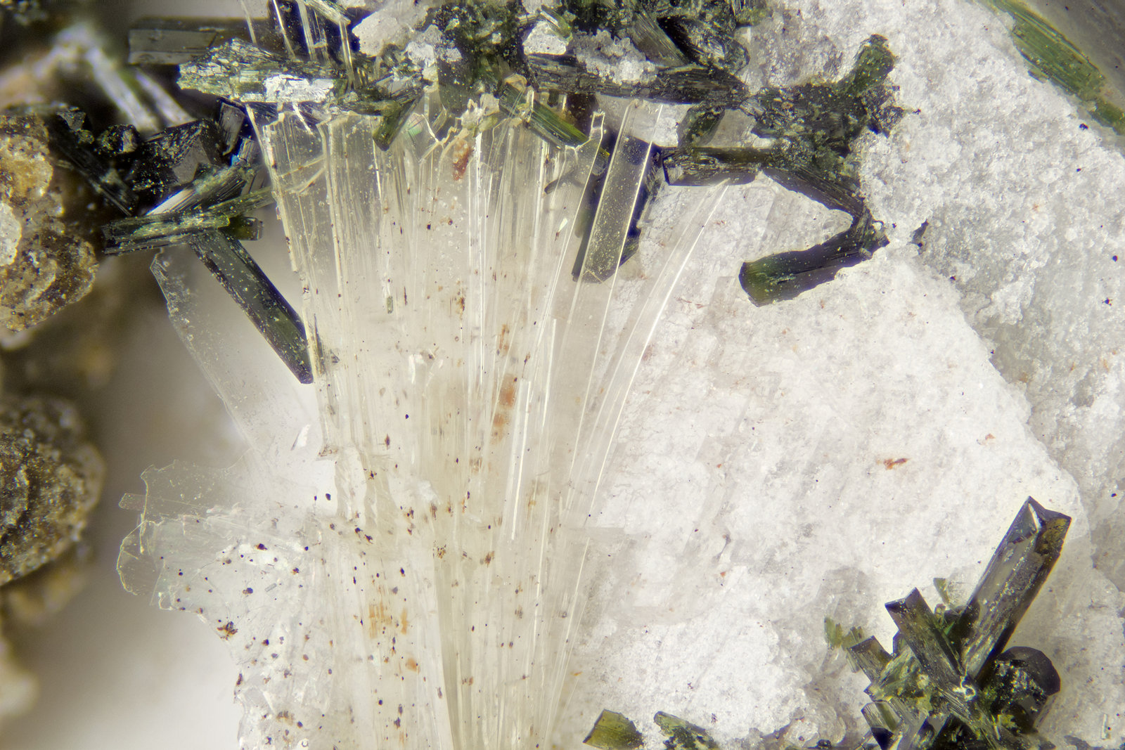 Tainoiolite
FOV = 4mm
(Autor: Doug)