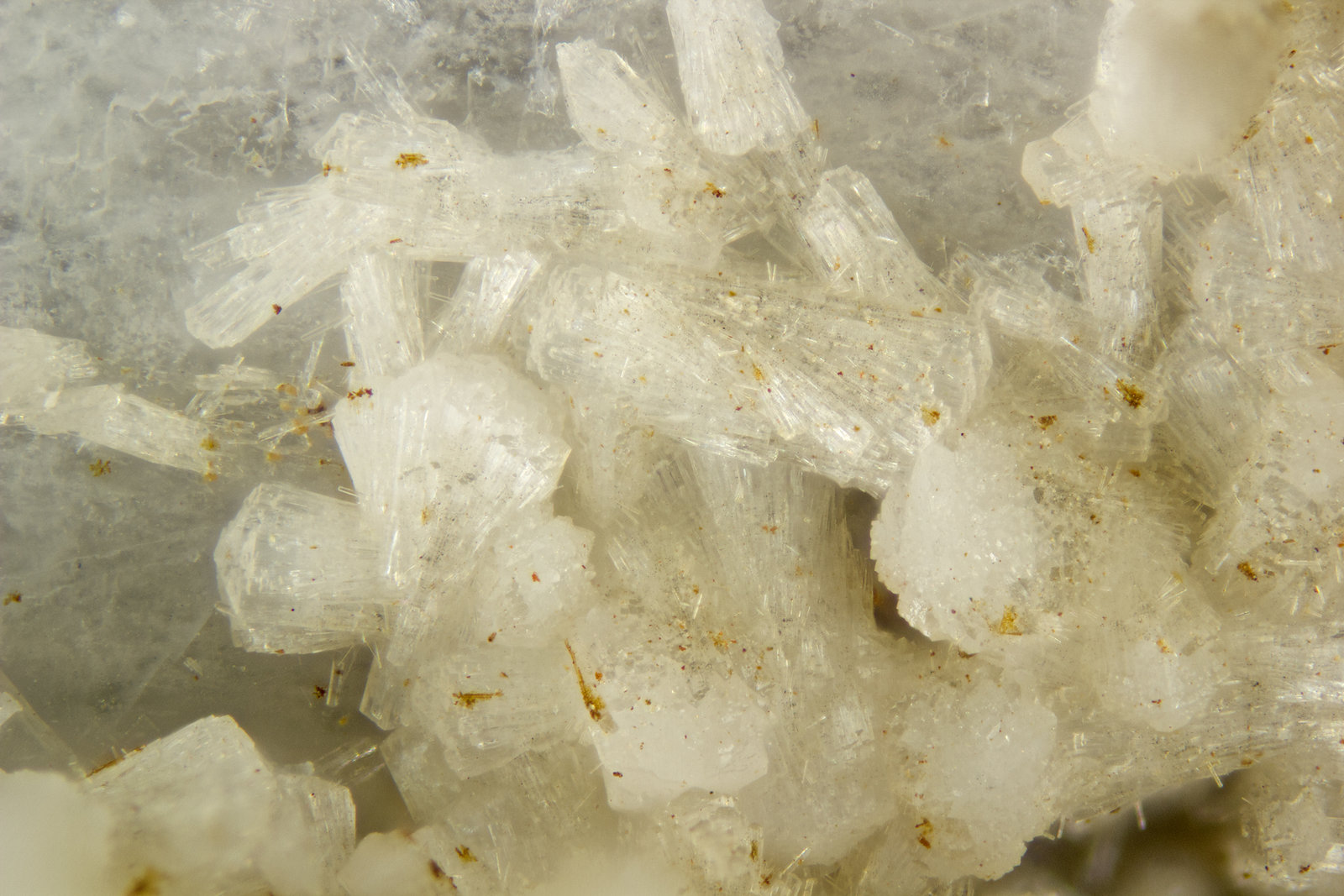 Gonnardite
FOV = 4mm
(Autor: Doug)