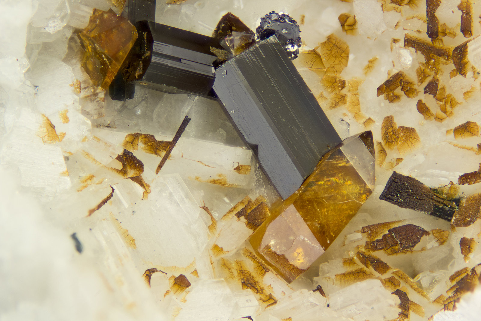 Titanite, Amphibole Group Mineral, Molybdneite
FOV = 4mm
(Autor: Doug)