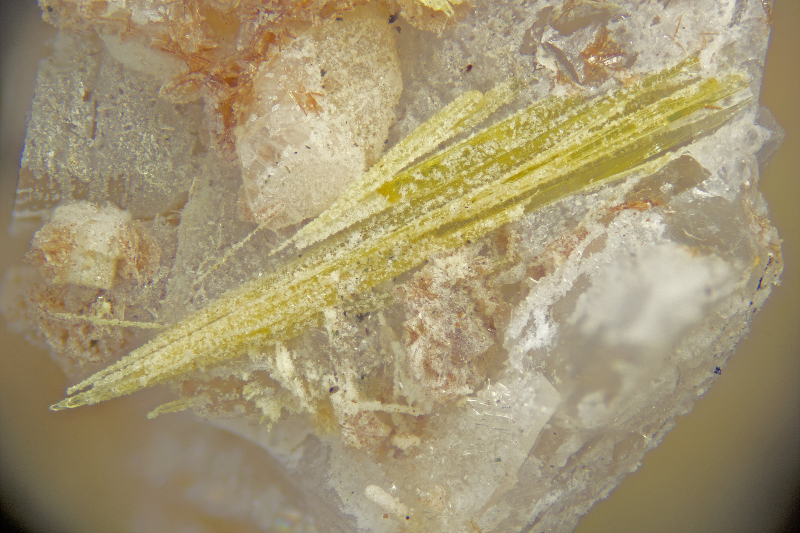 Tundrite-(Ce)
FOV = 4mm
(Autor: Doug)
