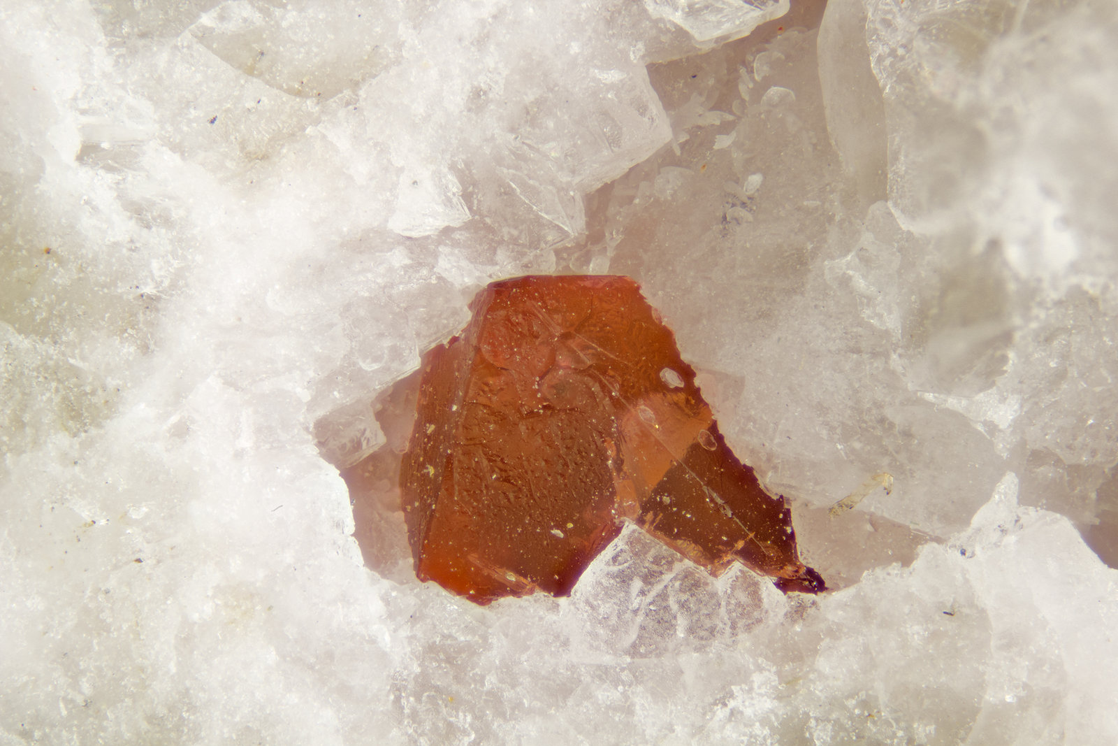 Villiaumite
FOV = 4mm
(Autor: Doug)