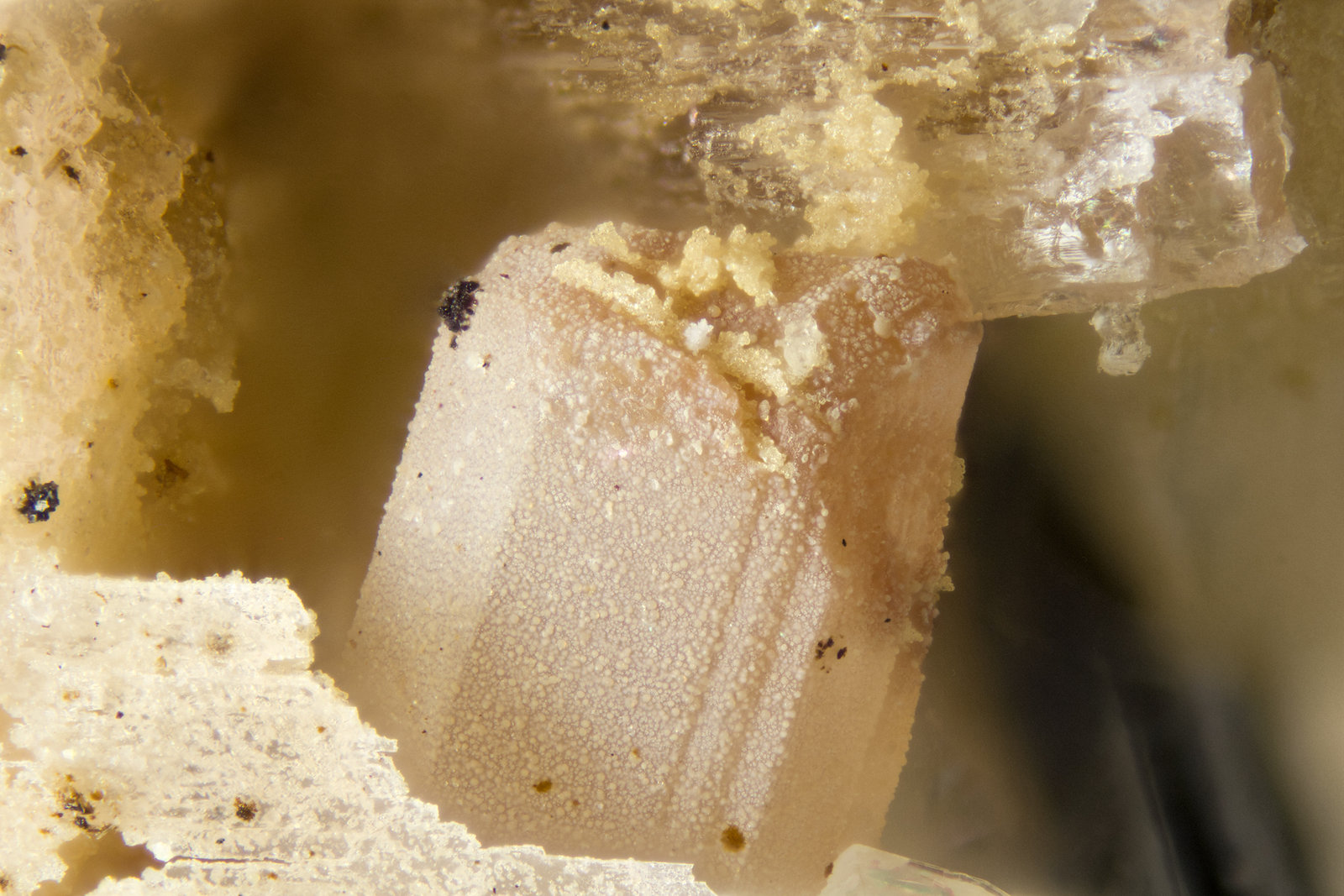 Willemite
FOV = 2mm
(Autor: Doug)