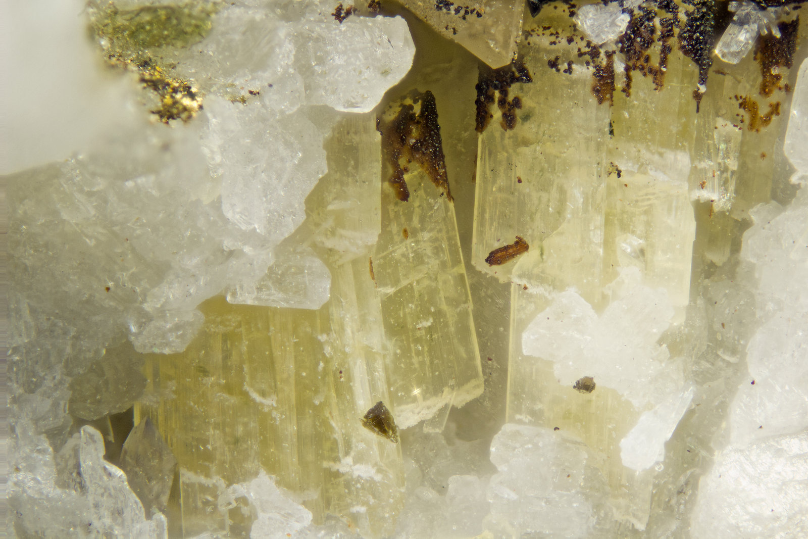 Wohlerite
FOV = 2mm
(Autor: Doug)
