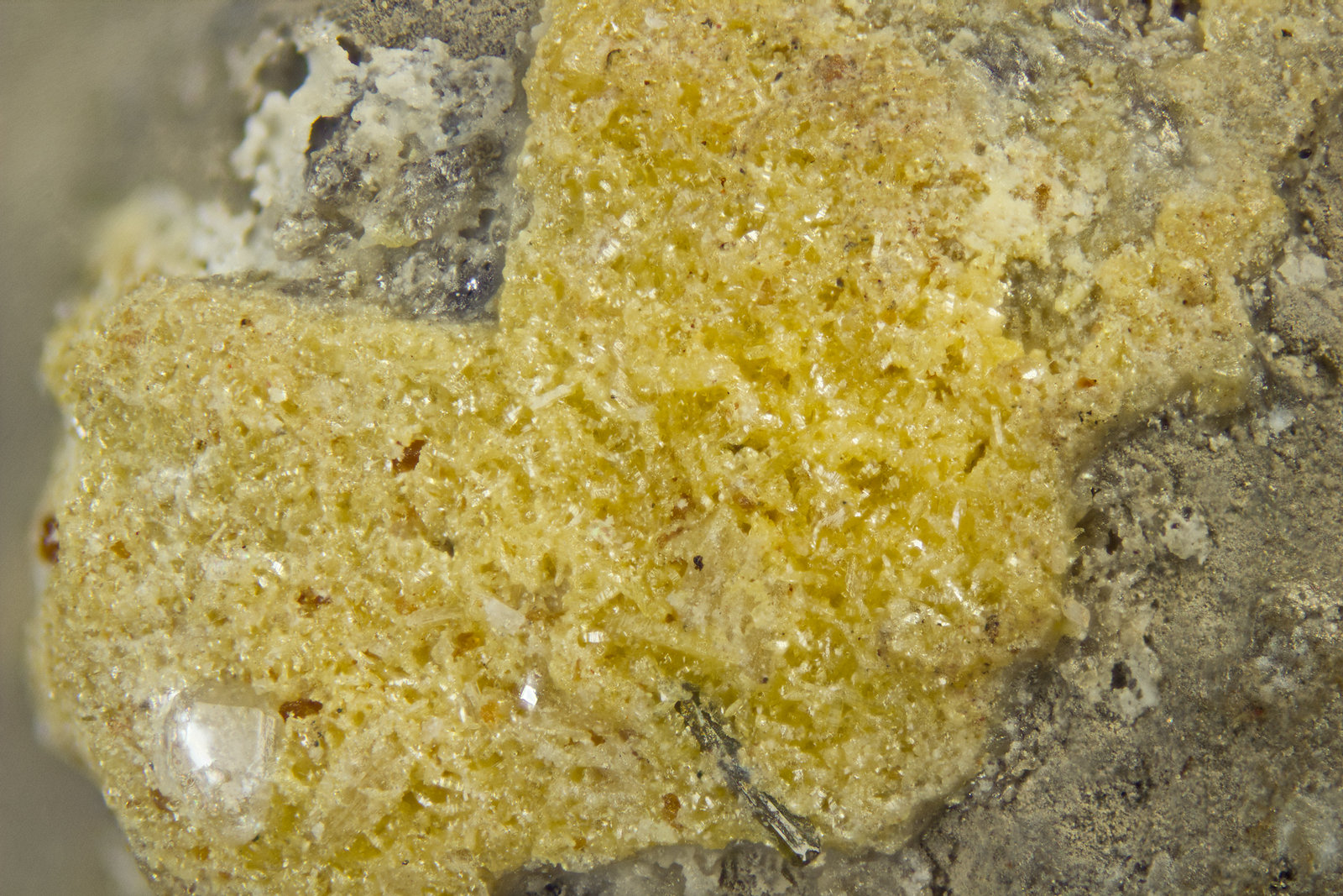 Wulfenite
FOV = 2mm
(Autor: Doug)
