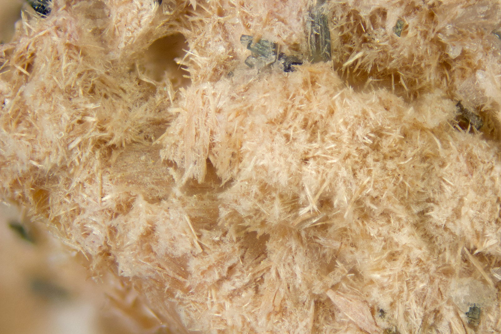 Yofortierite
FOV = 2mm
(Autor: Doug)
