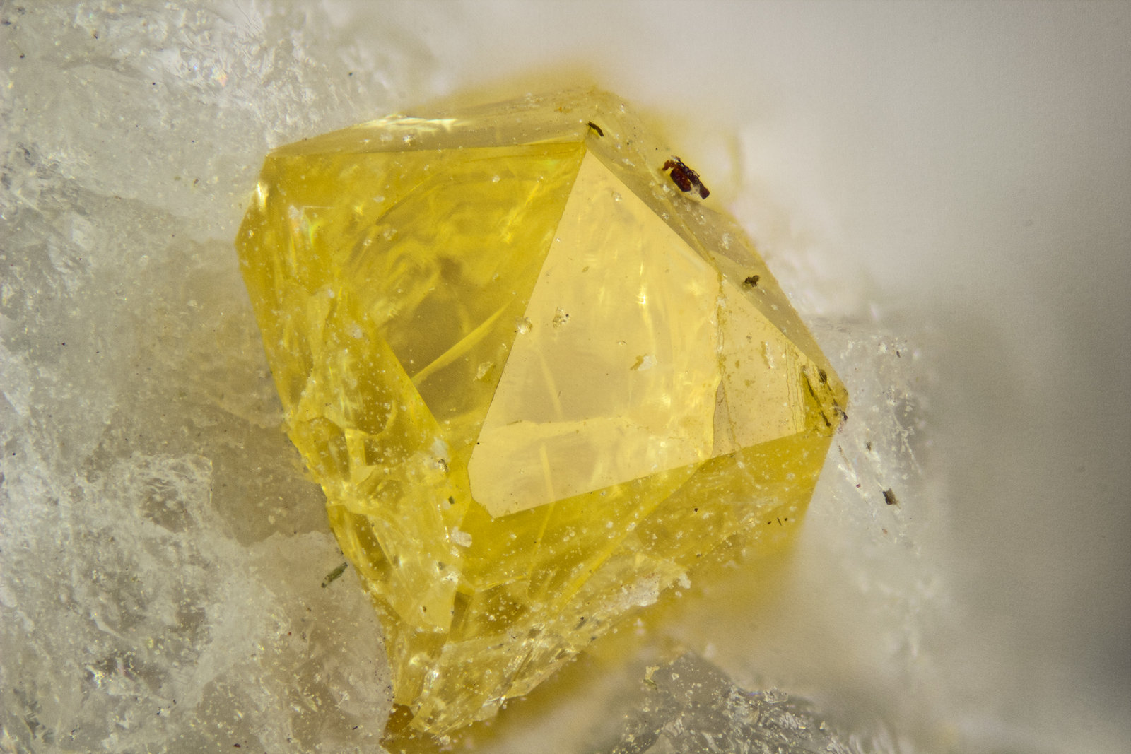 Zircon
FOV = 2mm
(Autor: Doug)