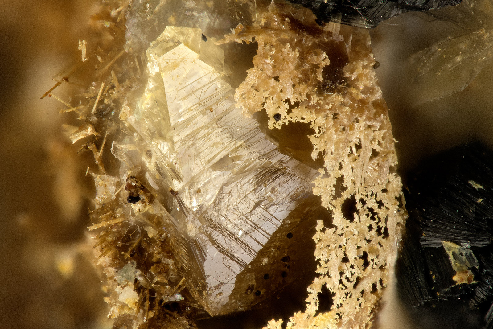 Anatase
FOV = 1.5 mm
(Autor: Doug)