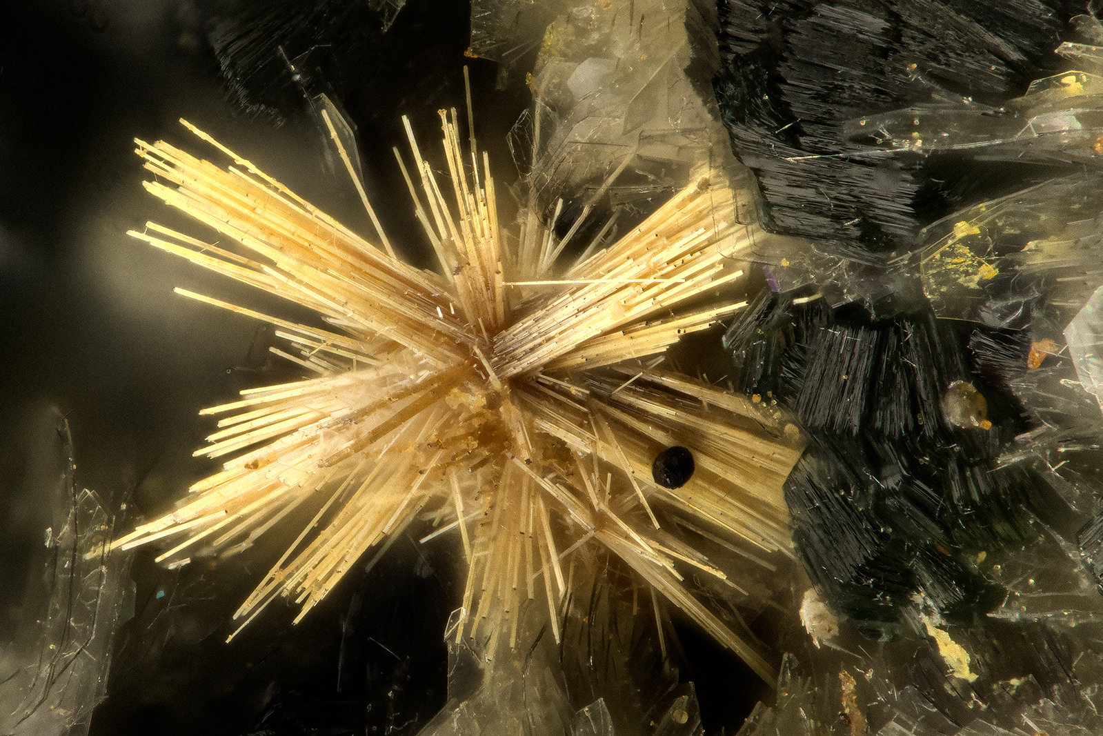 Rutile
FOV = 1.2 mm
(Autor: Doug)