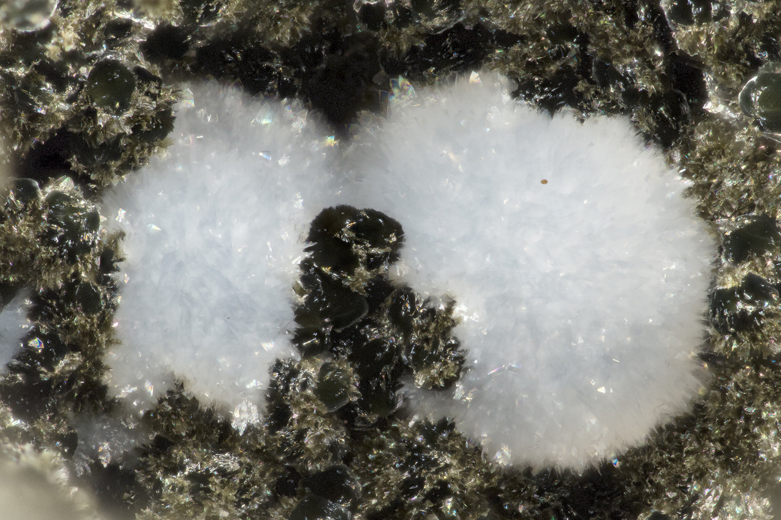Cowlesite
FOV = 2.9 mm
(Autor: Doug)