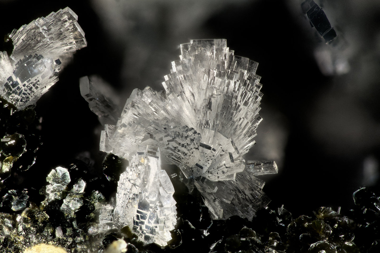 'Heulandite'
FOV = 3.6 mm
(Autor: Doug)