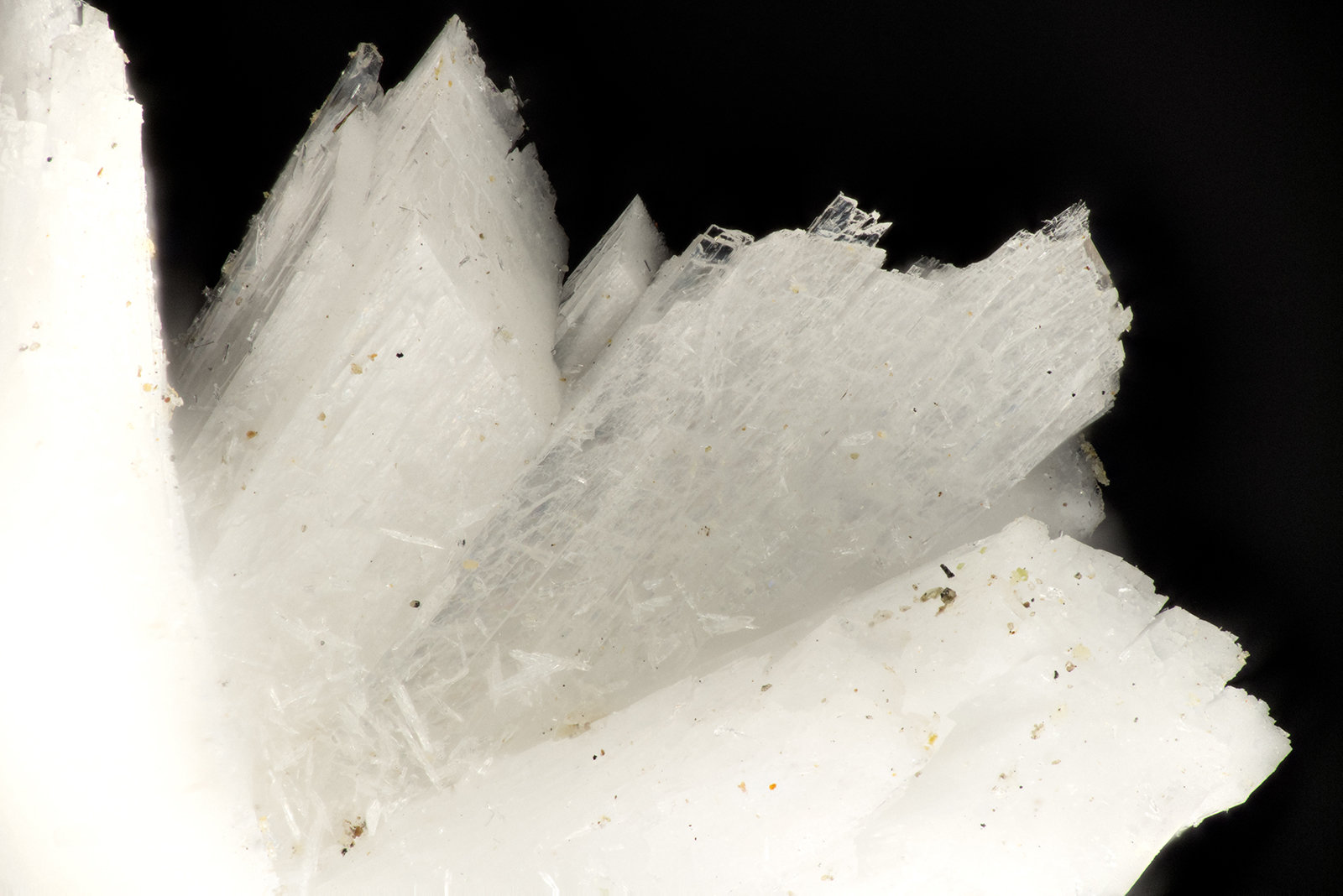 Laumontite
FOV = 3.9 mm
(Autor: Doug)