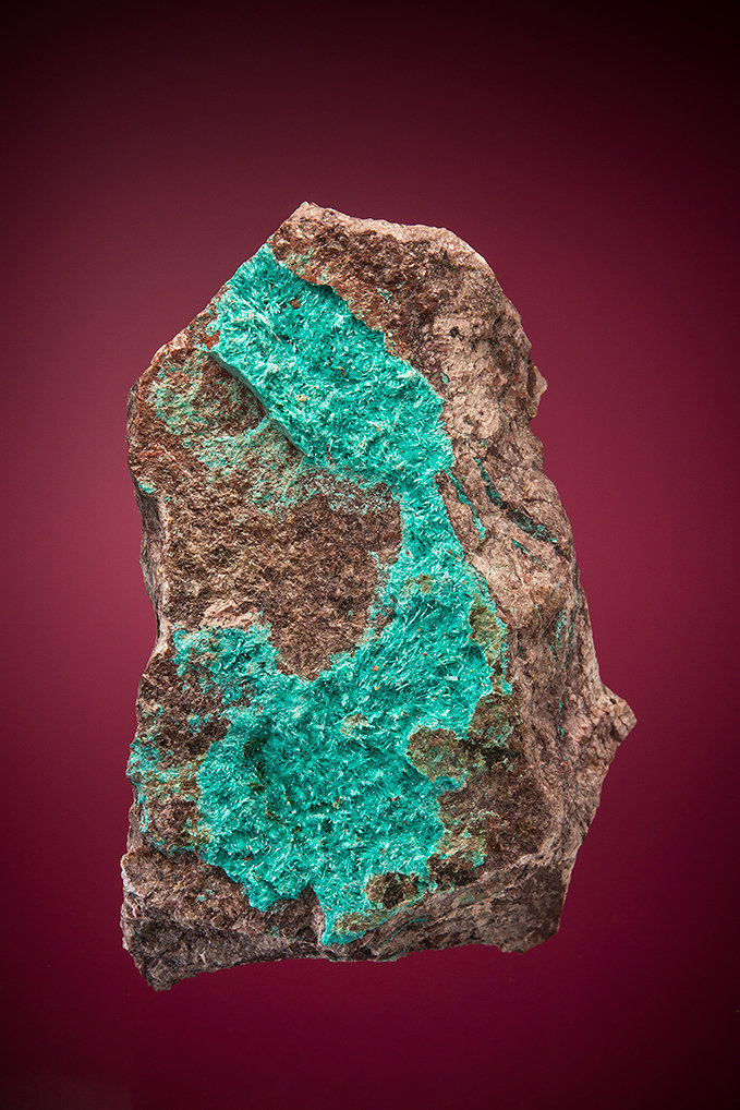 Ajoite
6.4cm x 4.4cm
(Autor: rweaver)
