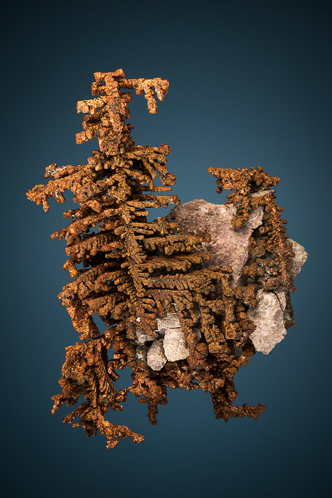 Copper
5.5cm x 4.0cm
(Autor: rweaver)
