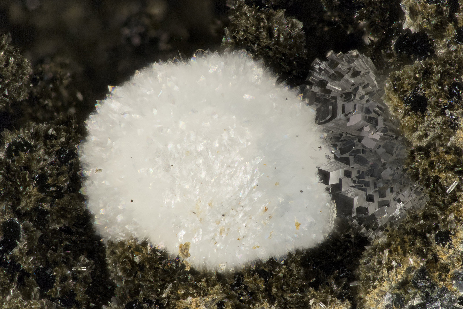 Cowlesite, 'Heulandite'
FOV = 2.9 mm
(Autor: Doug)