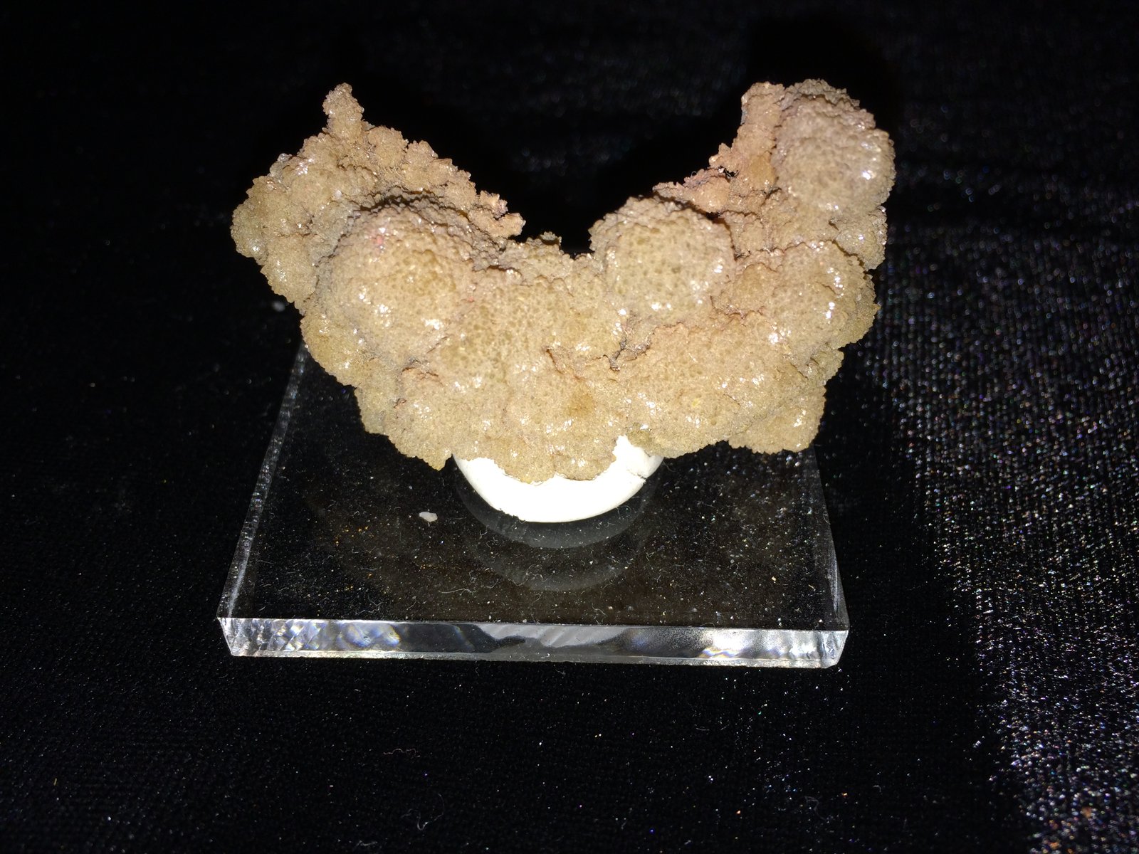 Mimetite
55 X 35 X 25 mm
(Autor: Robert Seitz)