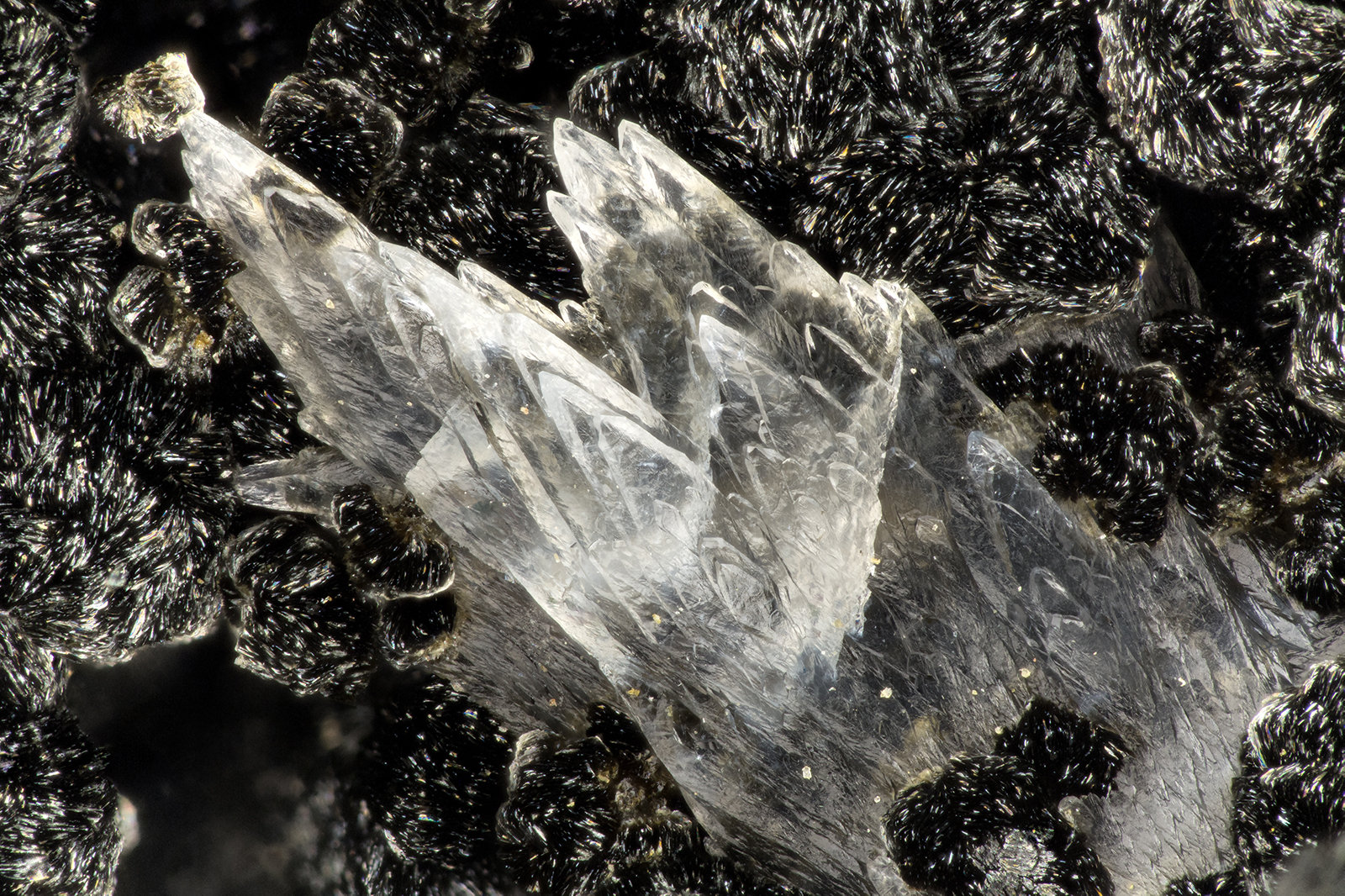 Calcite
FOV = 3.8 mm
(Autor: Doug)