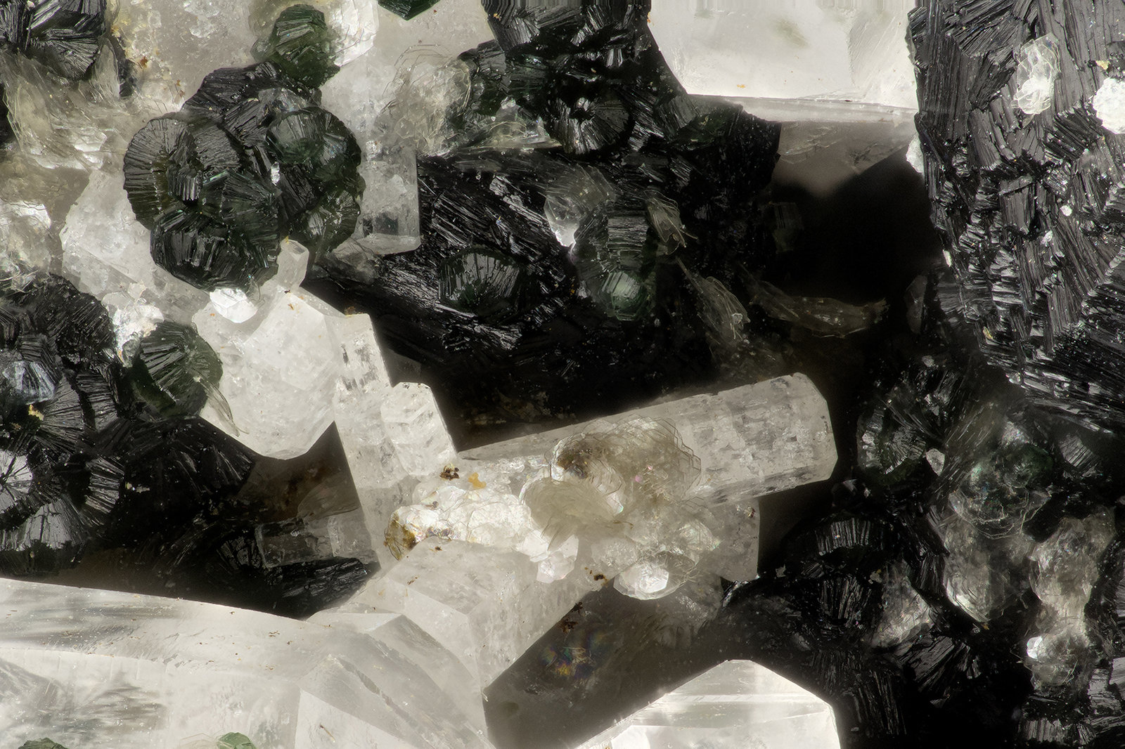 Fluorapatite
FOV = 3.1 mm
(Autor: Doug)