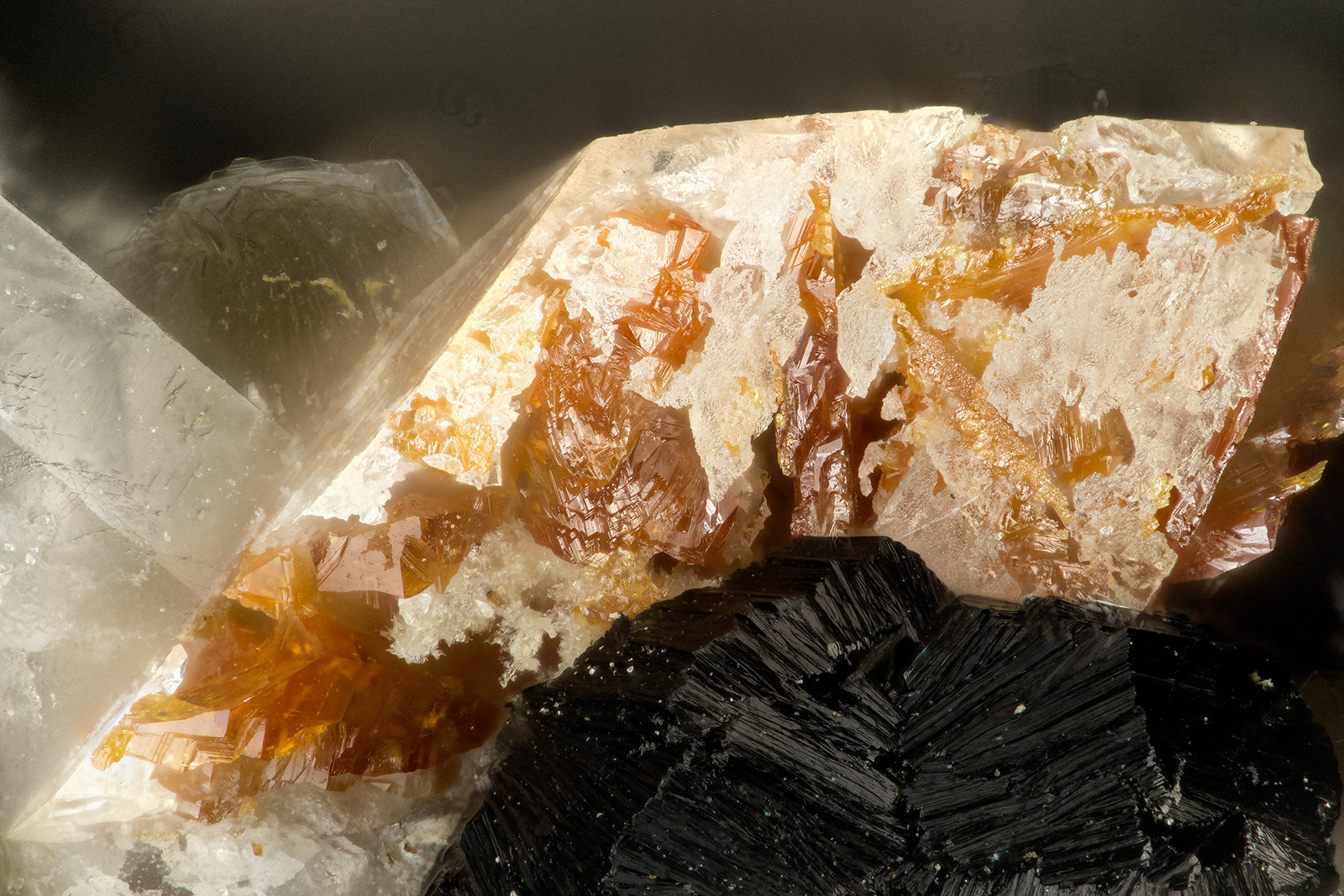 Titanite, Anatase, Brookite
FOV = 1.7 mm
(Autor: Doug)