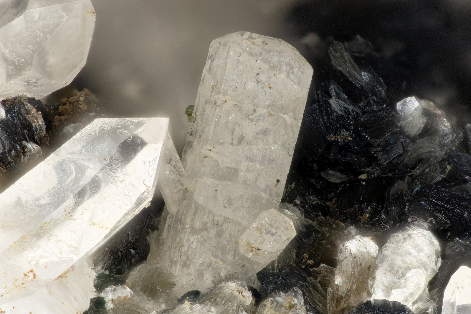 Fluorapatite
FOV = 3.2mm
(Autor: Doug)