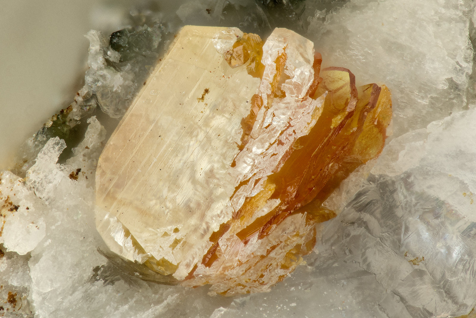 Titanite, Brookite
FOV = 1.6 mm
(Autor: Doug)