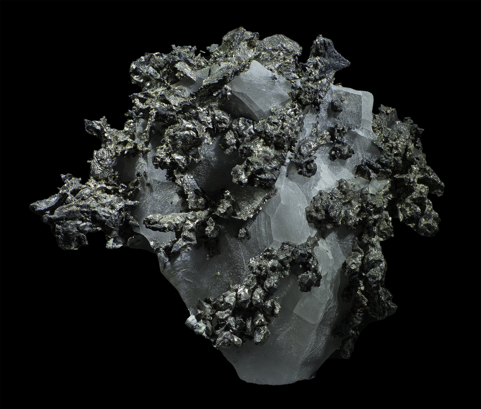 Allargentum
35 x 32 x 10 mm
(Autor: Rob Schnerr)