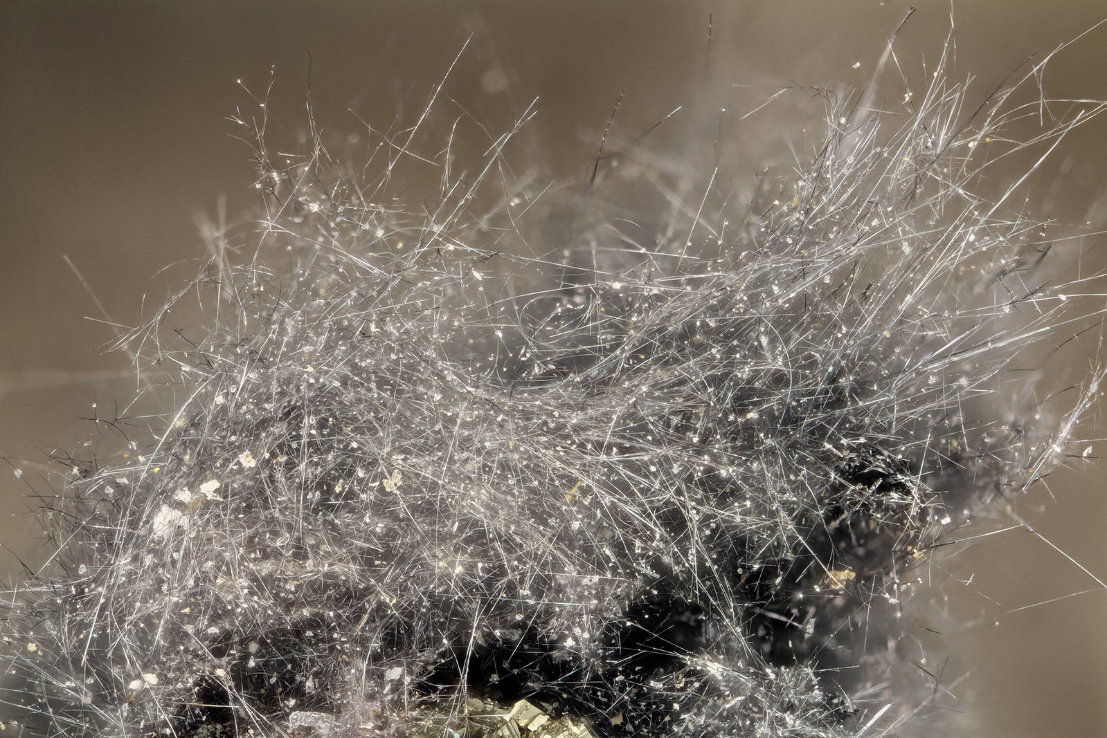 Boulangerite
FOV = 4.0 mm
(Autor: Doug)