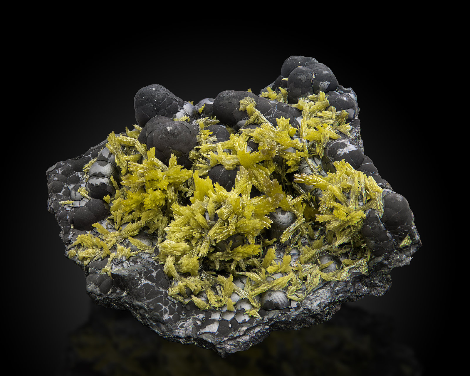 Pyromorphite on Coronadite
8,0	x	7,0	x	2,5	cm
(Autor: MIM Museum)