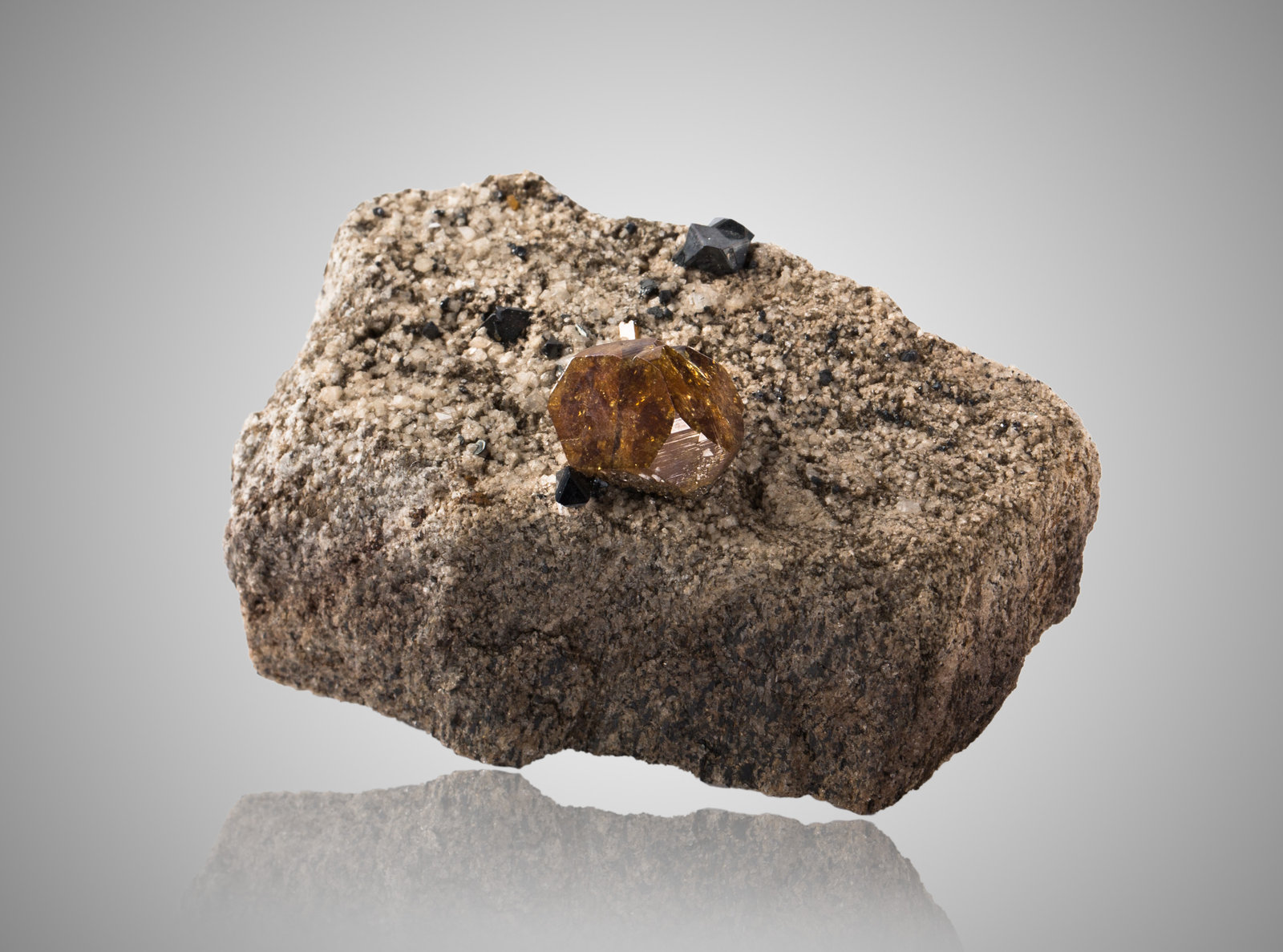 Anatase with Magnetite
7,0	x	4,5	x	3,5	cm
(Autor: MIM Museum)