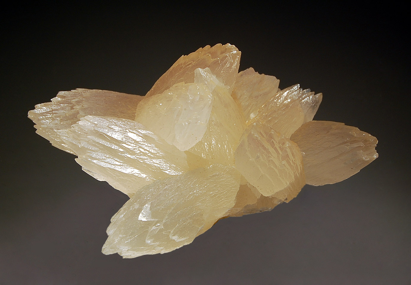 Calcite
5.9 x 8.0 cm
(Autor: Michael Shaw)
