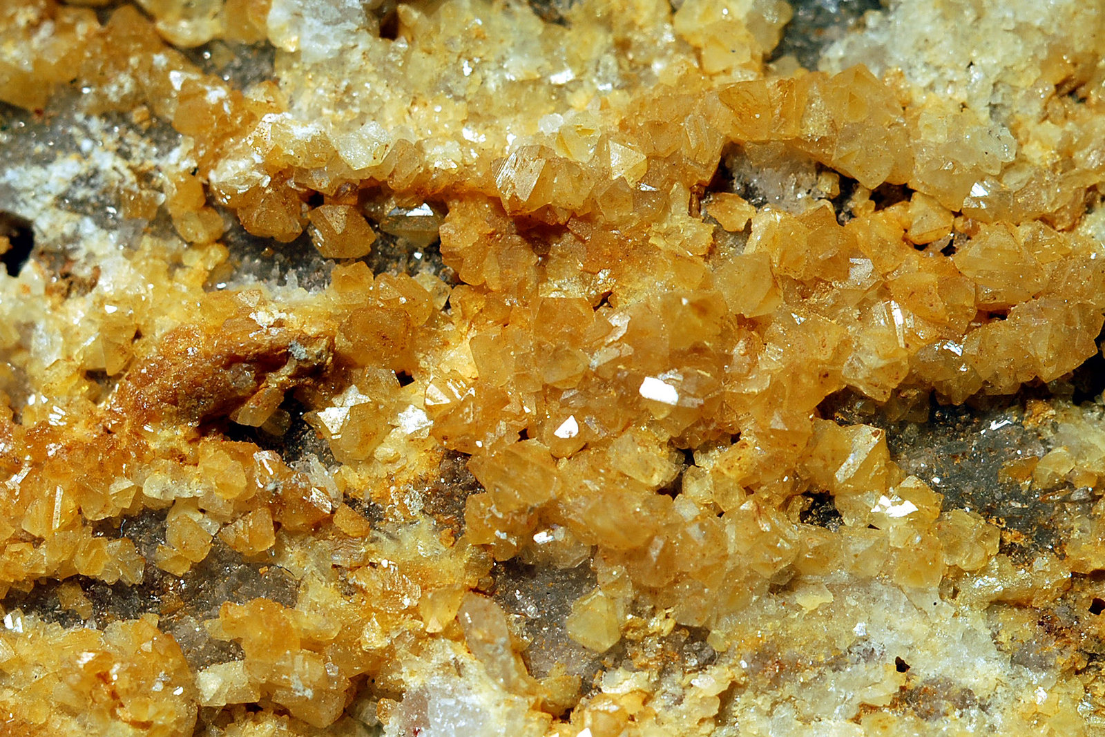 Woodhouseite
4.5 x 7.7 cm FOV ~ 3.2 cm
(Autor: Michael Shaw)
