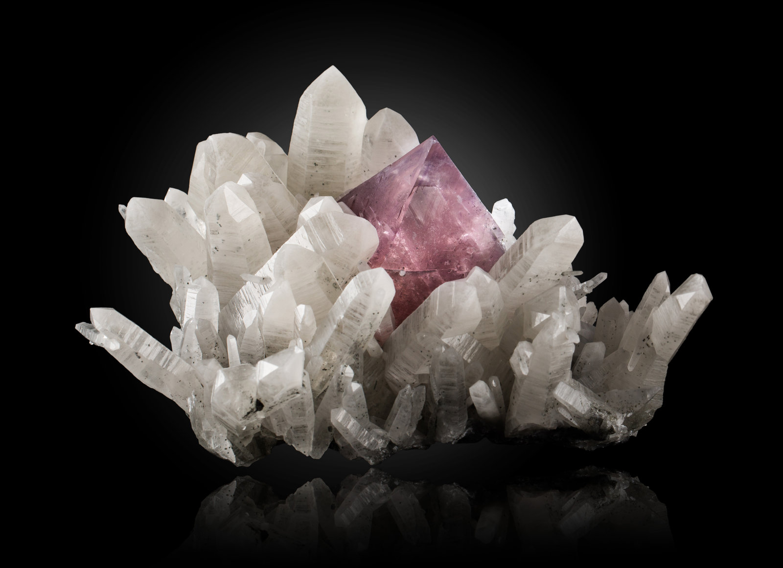 Fluorite on Quartz
18,0	x	14,0	x	9,0	cm
(Autor: MIM Museum)