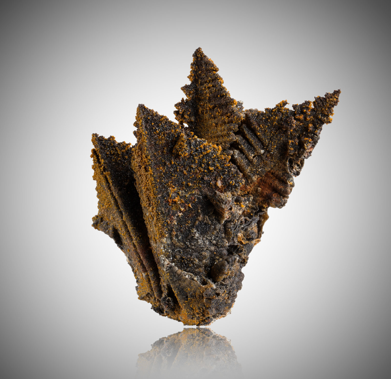 Descloizite with Wulfenite
8,5	x	7,0	x	7,0	cm
(Autor: MIM Museum)