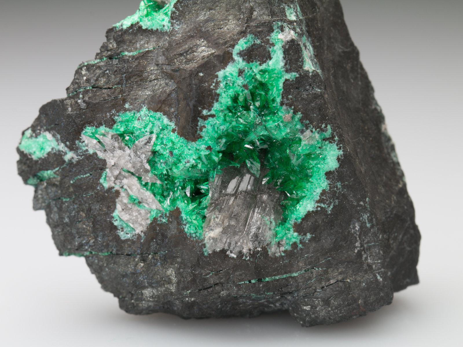 Schultenite and Adamite (variety cuprian adamite)
5,5	x	5,0	x	5,5	cm
(Autor: MIM Museum)