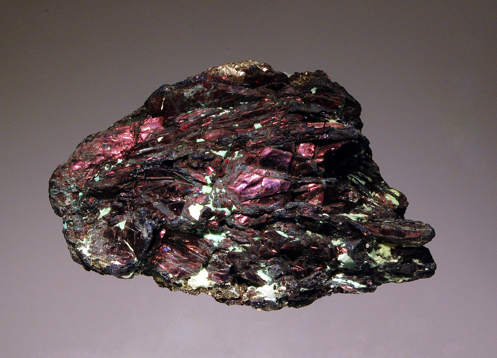 Covellite
4.8 x 6.9 cm
(Autor: Michael Shaw)