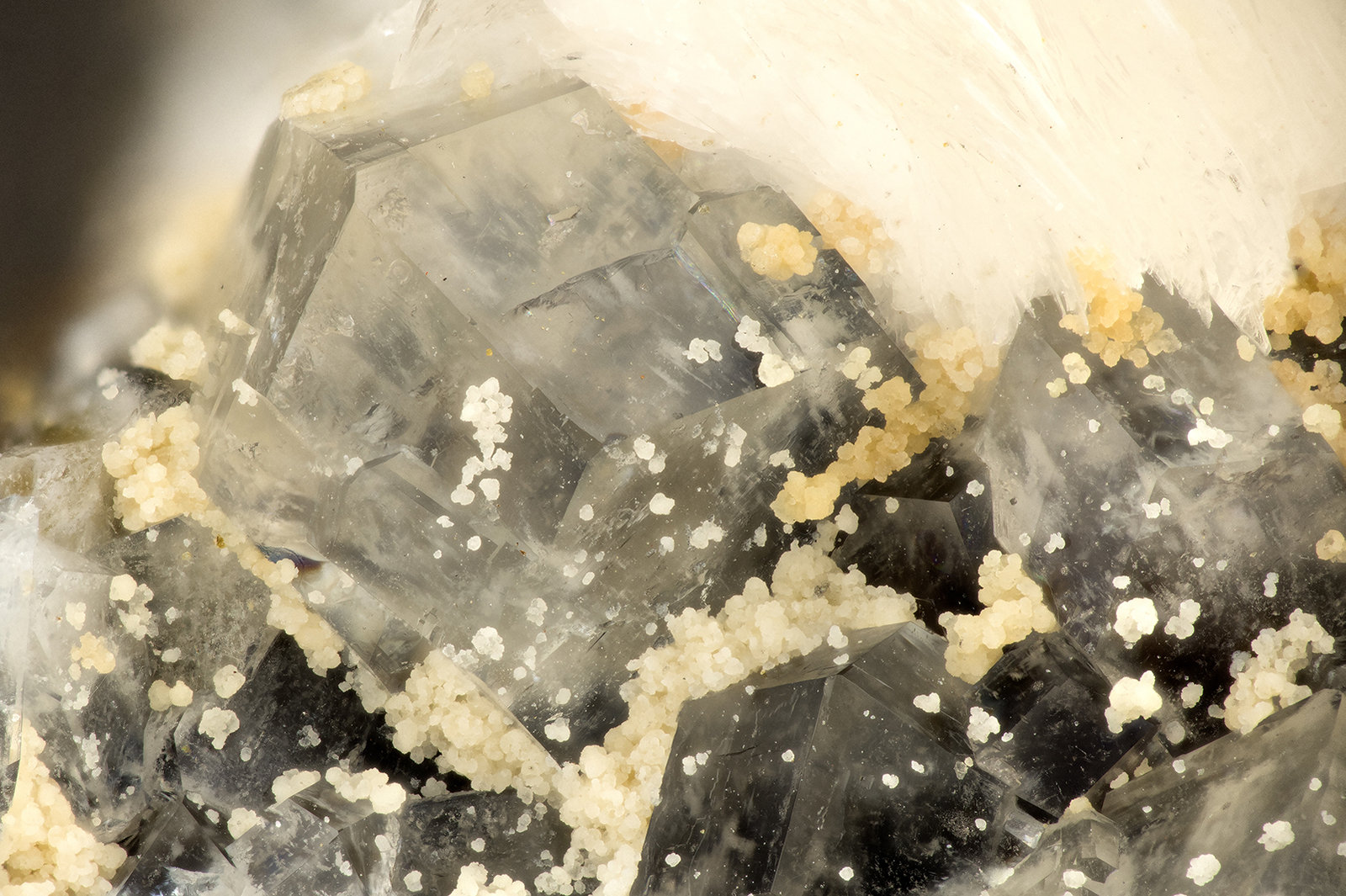 Phillipsite
FOV = 3.4 mm
(Autor: Doug)