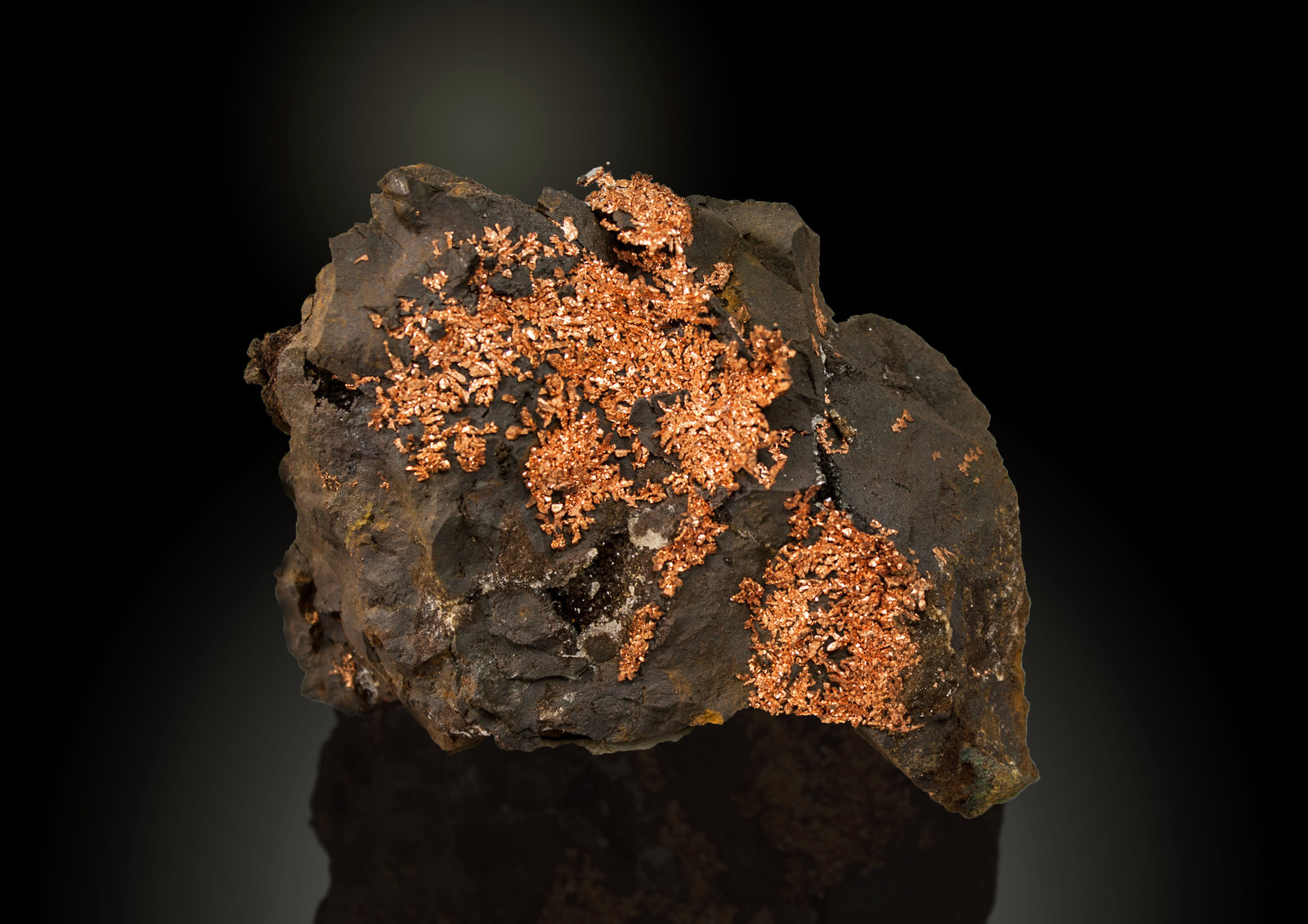 Copper
81 x 55 mm
(Autor: Manuel Mesa)