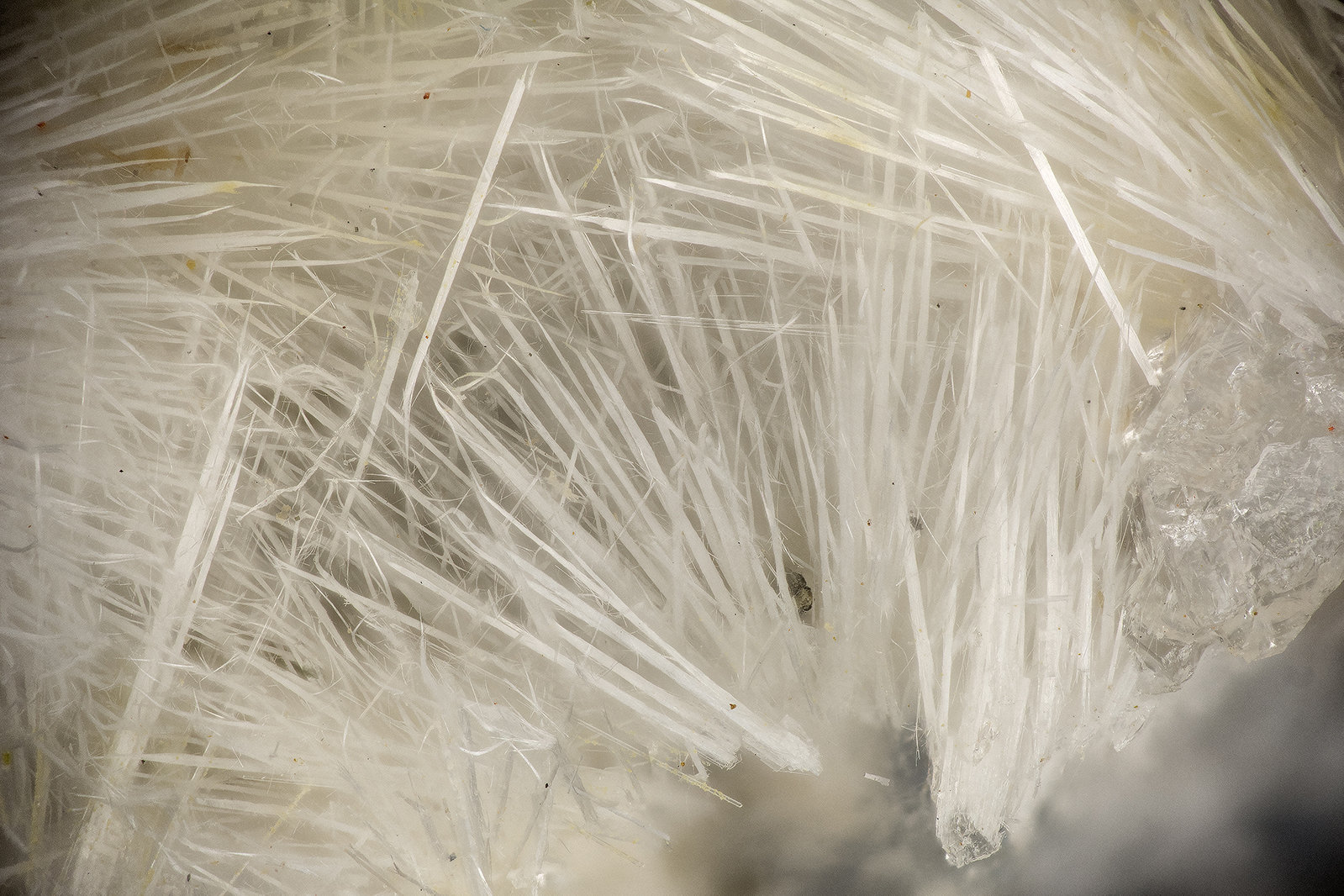 Mesolite
FOV = 4.3 mm
(Autor: Doug)