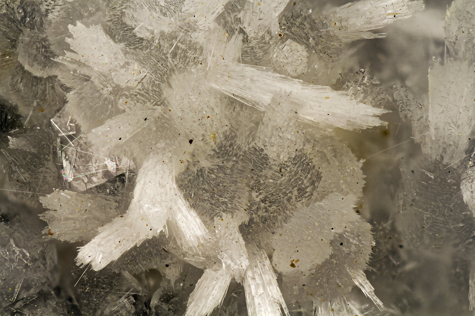 'Thomsonite'
FOV = 4.0 mm
(Autor: Doug)