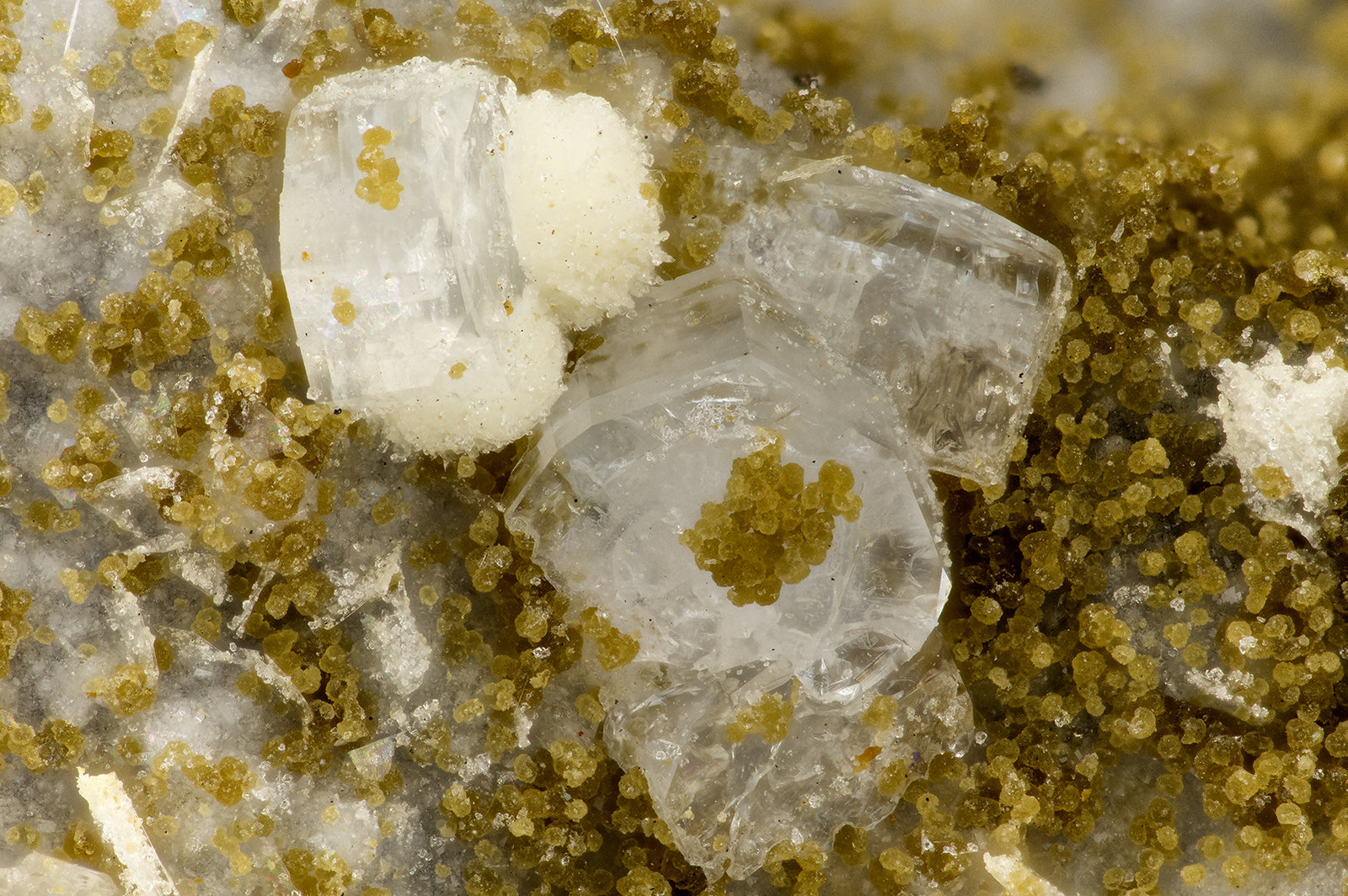 Fluorapophyllite-(K)
FOV = 3.3 mm
(Autor: Doug)