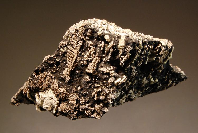 (Autor: Michael Shaw)