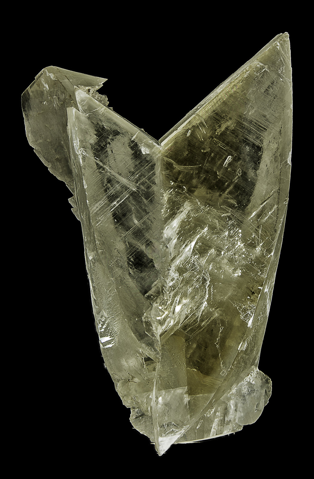 Gypsum
190 x 130 x 110 mm
(Autor: Rob Schnerr)