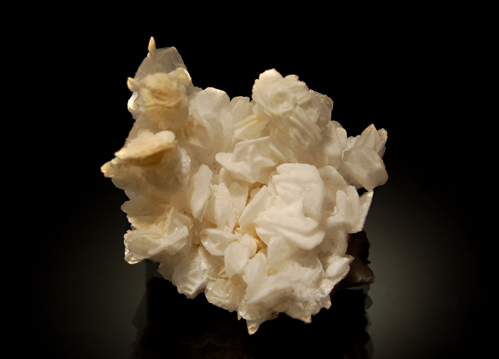 Hemimorphite
3.1 x 3.7 cm
(Autor: Michael Shaw)
