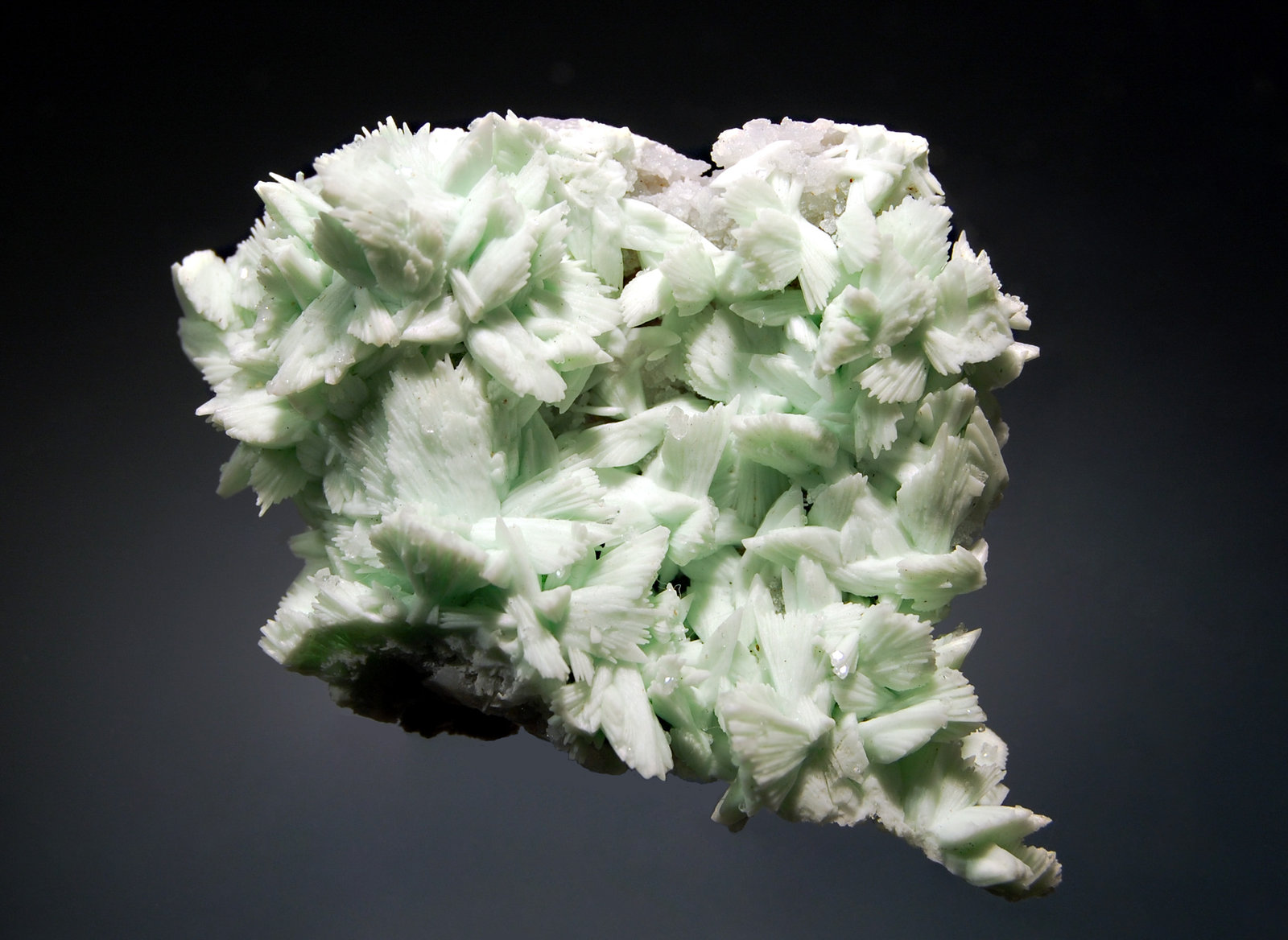 Hemimorphite and hydroxylapatite coating tarbuttite
3.6 x 5.5 cm
(Autor: Michael Shaw)