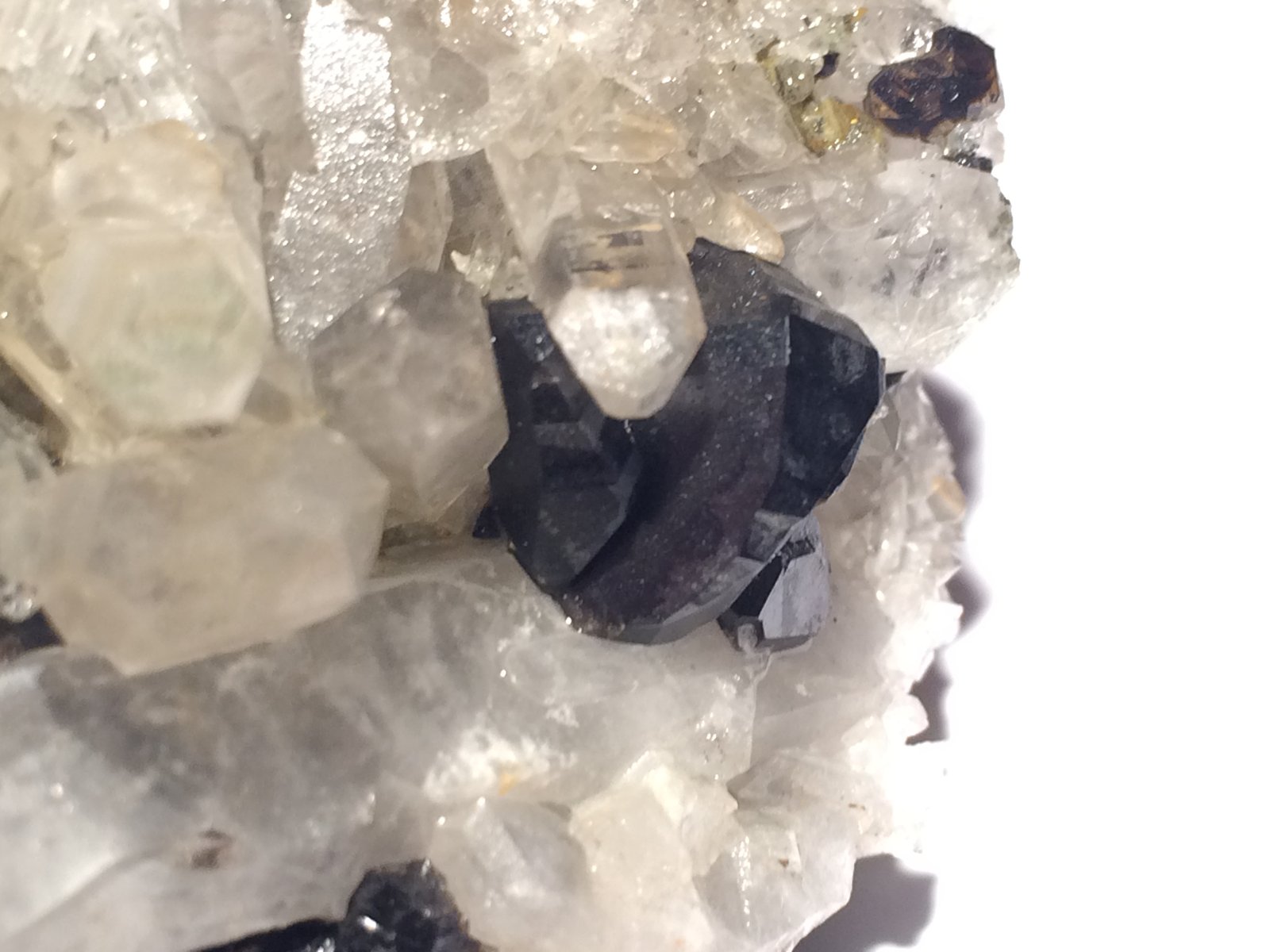 Cassiterite, Quartz
20 X 20 mm
(Autor: Robert Seitz)