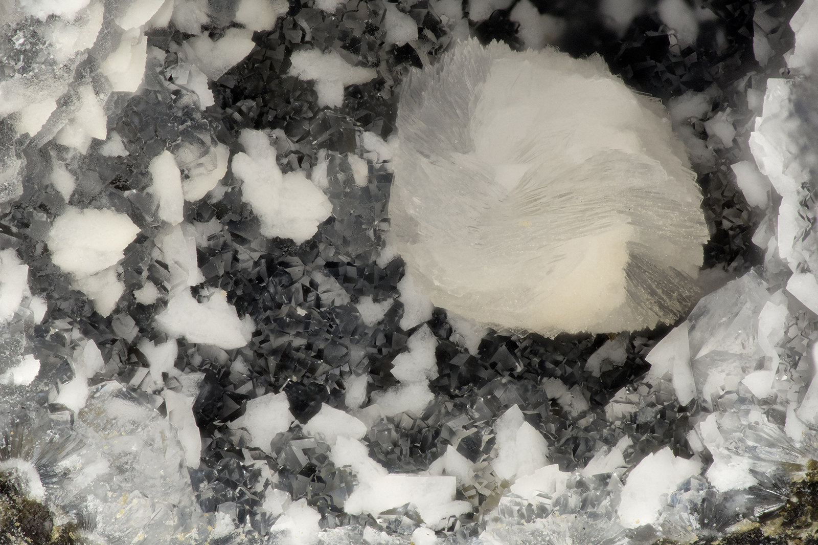 Gismondine, Gyrolite, Phillipsite
FOV = 3.4 mm
(Autor: Doug)