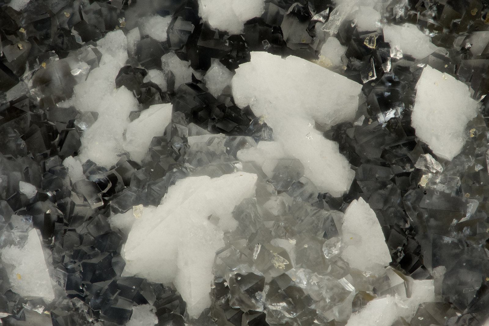 Gismondine, Phillipsite
FOV = 1.5 mm
(Autor: Doug)