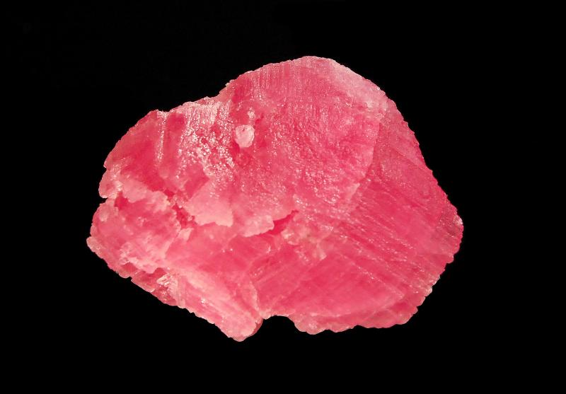 (Autor: Michael Shaw)