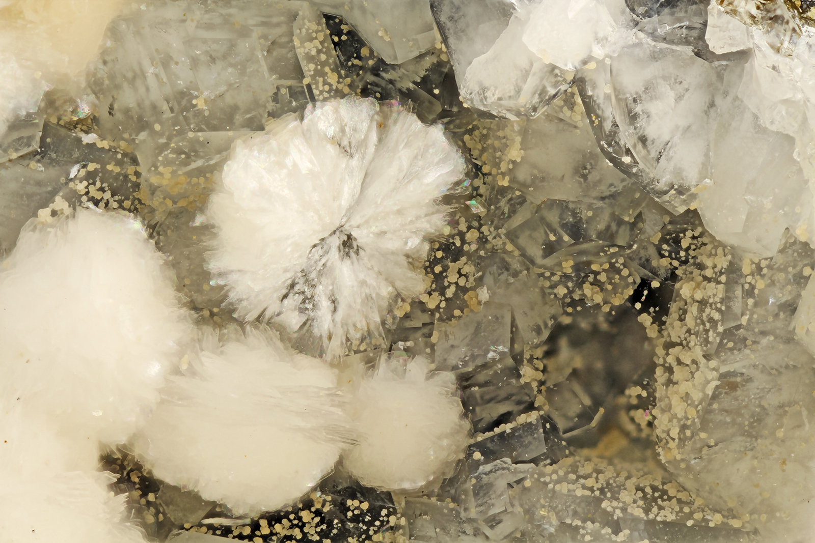 Gyrolite, Phillipsite
FOV = 4.0 mm
(Autor: Doug)